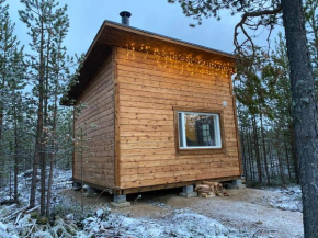 Aurora Husky Hut, Inari